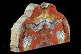 Tall, Colorful, Arizona Petrified Wood Bookends #74018-2